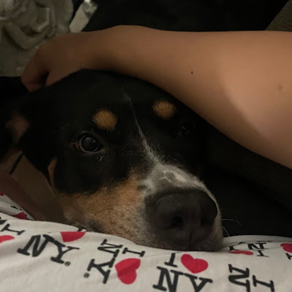 Meet your Posher, Char